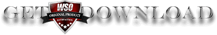 GetWsoLogo